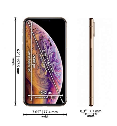 Apple iPhone 11 Pro Dimensions - Phones Size Chart in inches and mm