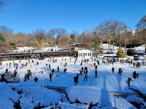 11 Fun Things To Do in Central Park in Winter