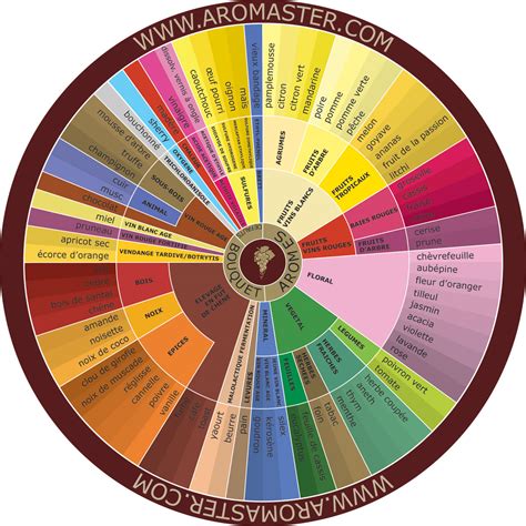 French Wine Aroma Wheel Free Stock Photo - Public Domain Pictures