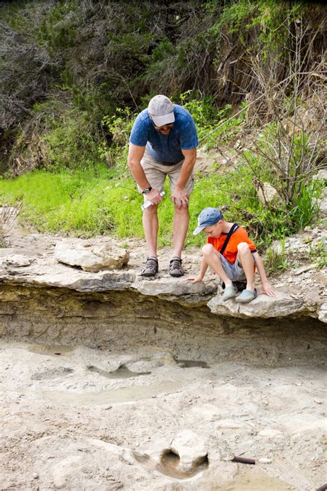 15 Cool Places to See Dinosaurs in Texas - Lone Star Travel Guide