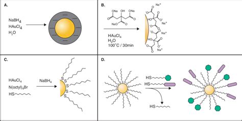 Different schematics for gold nanoparticle synthesis. (A) Basic... | Download Scientific Diagram