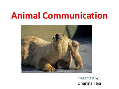 Animal communication