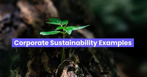 10 Corporate Sustainability Examples | EdApp Microlearning