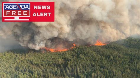 Videos Of Canada Wildfires 2024 - Eada Neilla