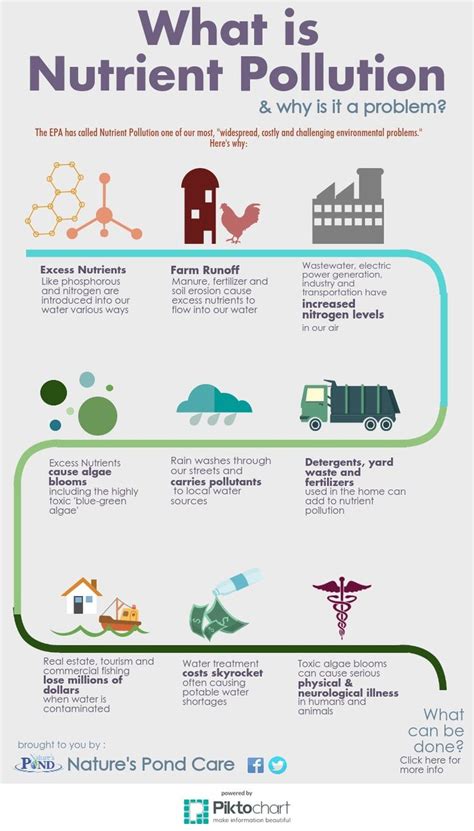 Nutrient Pollution Infographic | Pollution, Environmental problem ...