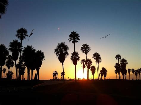 Venice Beach Sunset Wallpapers - Top Free Venice Beach Sunset Backgrounds - WallpaperAccess