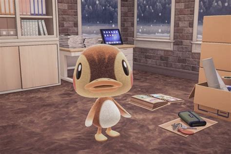 Animal Crossing: New Horizons’ naked villager bug fixed in new update - Polygon