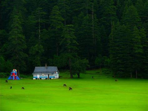 Khajjiar: The Mini Switzerland - Nativeplanet