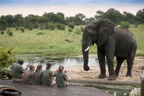 How to Plan an African Safari for Kids of All Ages