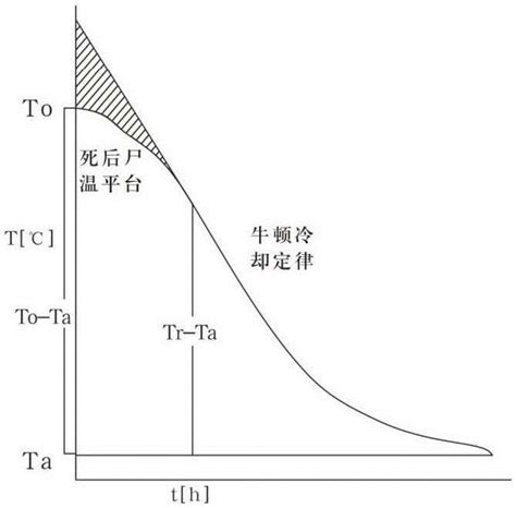 尸温实时测量记录分析仪及死亡时间分析方法与流程