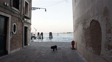 End of the street | Street, Ventimiglia, Photo