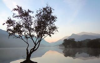 Padarn misty sunrise reflection. | And tree on the shore of … | Flickr