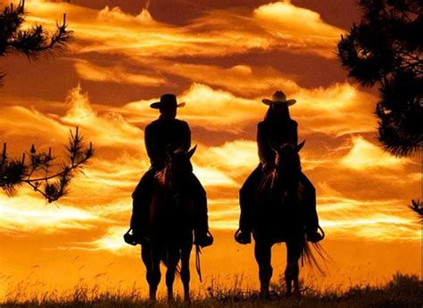 Silhouette cowboys on horses | Photos with People and Animals | Pinterest | Cowboys, Silhouettes ...