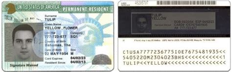 United States Of America Permanent Card