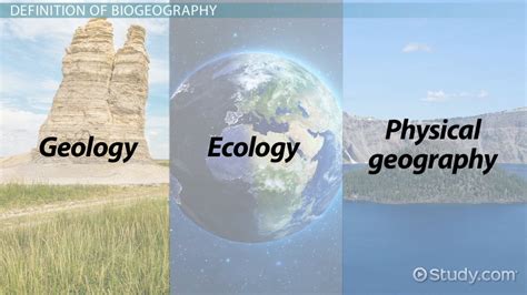 Biogeography Definition, Subcategories & Application Examples - Lesson | Study.com