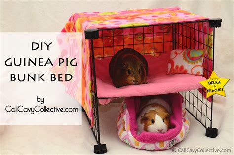 Cali Cavy Collective: a blog about all things guinea pig: How to Build a C&C Guinea Pig Bunk Bed