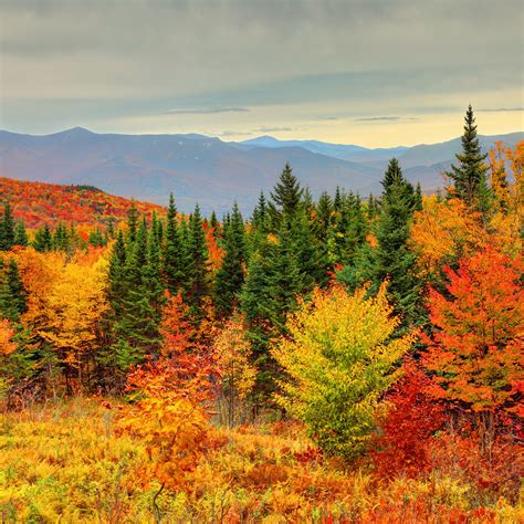 Fall Foliage Map New England How to See New England Fall Foliage at Its Peak | secretmuseum