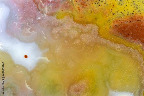 Ocean Jasper Closeup Stock Photo | Adobe Stock