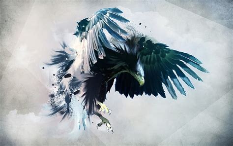 HD wallpaper: brown an white eagle vector art, blue and black bird ...