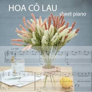 Hợp âm Hoa Cỏ Lau - Sheet piano và File midi - Shop Piano Fun