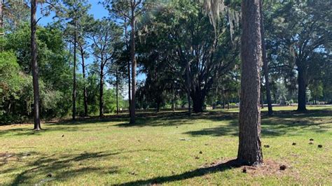 Olustee Battlefield Historic State Park | Florida State Parks