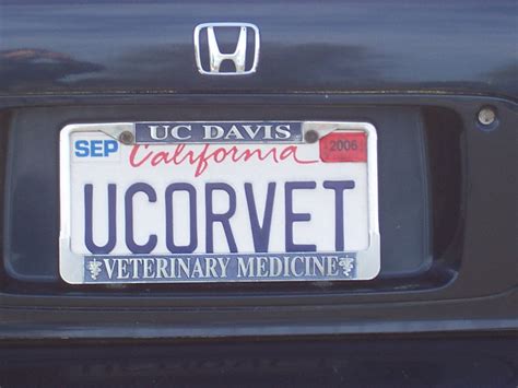 Information about "ucorvet.jpg" on funny bumper stickers - Davis - LocalWiki