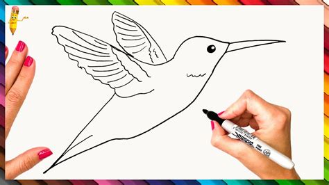 How To Draw A Hummingbird Step By Step