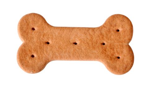 Dog Food Biscuit Shaped Like Bone Stock Photo - Download Image Now - iStock