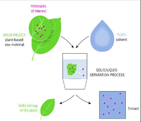 1 The plant extraction process | Download Scientific Diagram