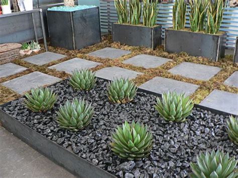 some plants are growing in the middle of a stone garden bed with gravel and rocks