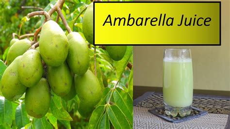 Ambarella Juice - YouTube