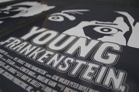 Young Frankenstein special edition DVD package on Behance