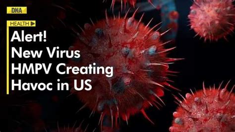 What is Human metapneumovirus, creating havoc in US? Know all about the ...