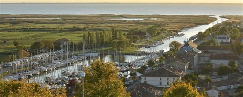 The Gironde estuary and its vineyards by bike