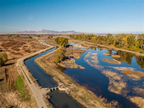 The Floodplain Forward: Bypasses and Fish Habitat | NCWA