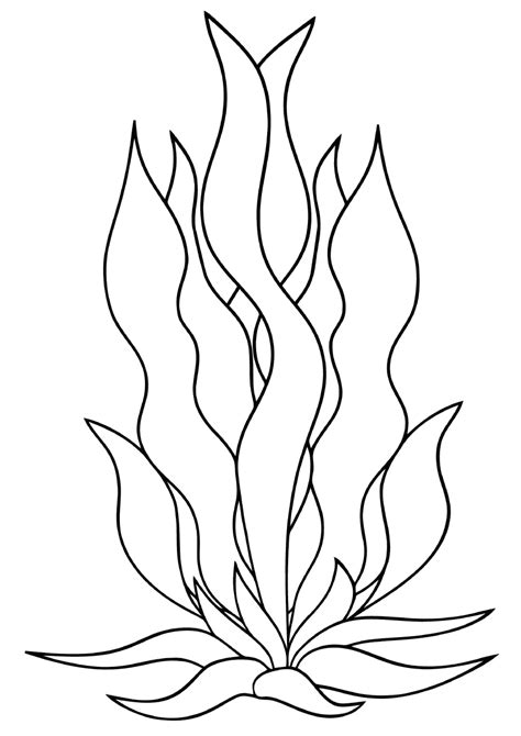 Seaweed coloring pages | Coloring pages to download and print