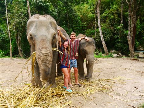 5 Elephant Sanctuaries to Visit in Chiang Mai