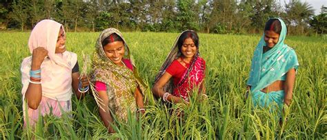 Women in agriculture: Enhancing their role and promoting sustainability ...