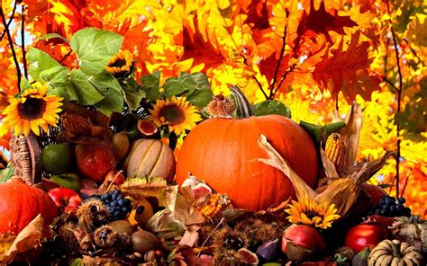 Thanksgiving Day Pumpkin Wallpapers - Wallpaper Cave