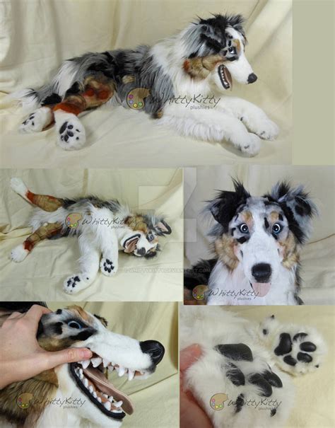 Lifesize Australian Shepherd Plush by WhittyKitty on DeviantArt