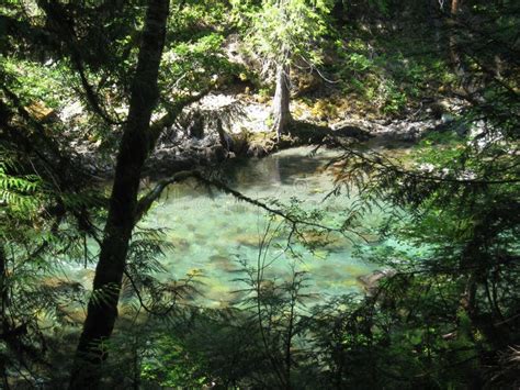 Ohanapecosh Hot Springs Trail in Mount Rainier National Park Stock Image - Image of wanderlust ...