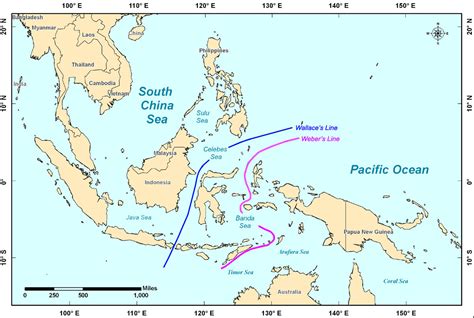 Biogeography of the INDEX-SATAL Region: Background Information: INDEX 2010: “Indonesia-USA Deep ...