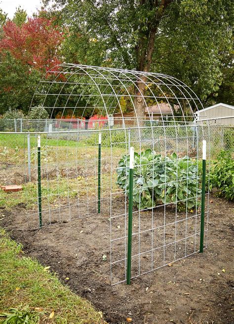 How to Build a Bean Trellis That Adds Interest to Your Garden ...