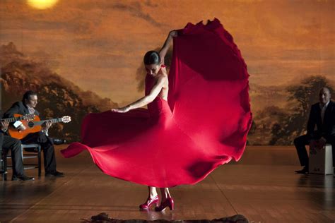 Flamenco, Flamenco