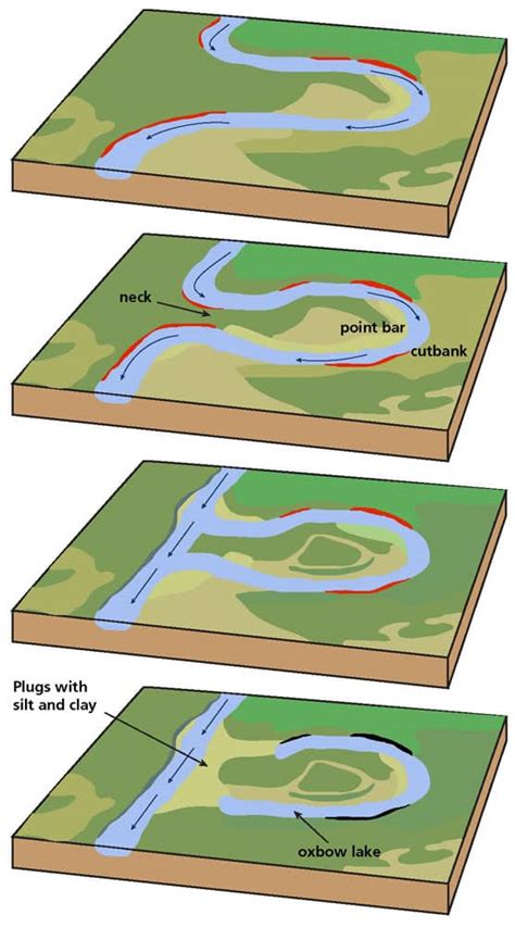 How Oxbow Lakes Form | Geography Realm