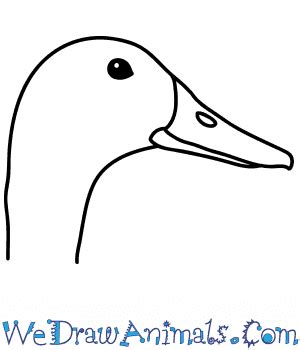 Cute Easy Simple Duck Drawing