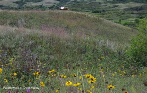 Lumsden Trails | Tourism Saskatchewan