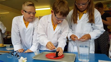 Primary School Science in the UK | STEAMWORKS