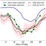 BG - L-band vegetation optical depth as an indicator of plant water potential in a temperate ...