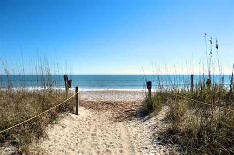 Edisto Beach State Park - SC Picture Project